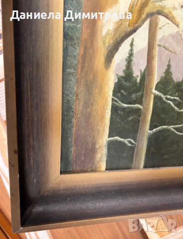 Рисувана картина на фазер, снимка 8 - Картини - 54205579