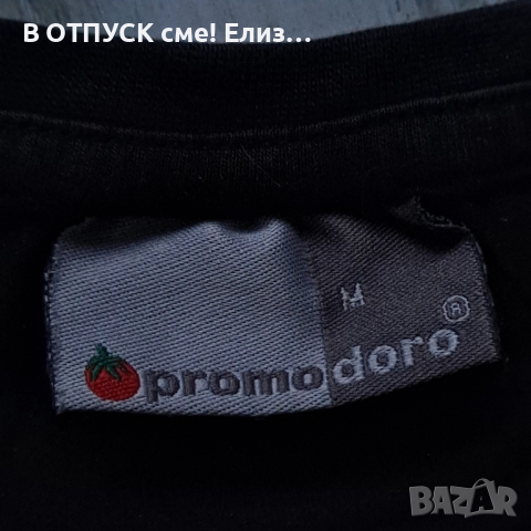 Тениска лицензна пънк 2013 Die Toten Hosen, снимка 4 - Тениски - 51444985