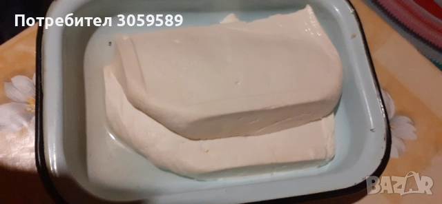 Домашно козе сирене