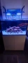 Морски аквариум red sea 300g2+, снимка 1