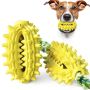 Играчка кактус – четка за зъби за домашни любимци TV751, снимка 1 - За кучета - 45676019