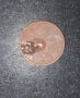 Много рядка монета със грешка при печатането ,Хората които разбират знаят , снимка 1 - Нумизматика и бонистика - 45818824