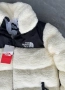 Мъжко зимно яке The North Face/BR196m, снимка 4