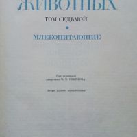 Енциклопедия "Жизнь животных" в седем тома, снимка 13 - Енциклопедии, справочници - 45322603