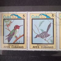 1983 г. Ендемични птици.  Куба., снимка 2 - Филателия - 45451363