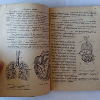 Готов за санитарна отбрана - учебник от 1948 + бонус конспект по местна противовъздушна отбрана, снимка 3 - Специализирана литература - 45382943