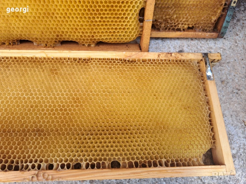 изградени пчелни магазинни пити ДБ и Фарар, снимка 1