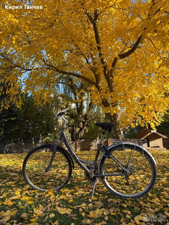 Колело giant , снимка 1