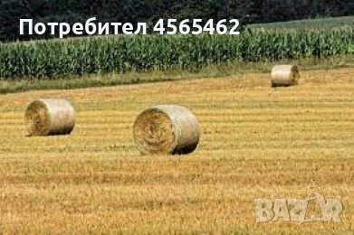 Зем. Земя с редовна рента 10 и 15 дка. Шабла   3500лв.дкa, снимка 1