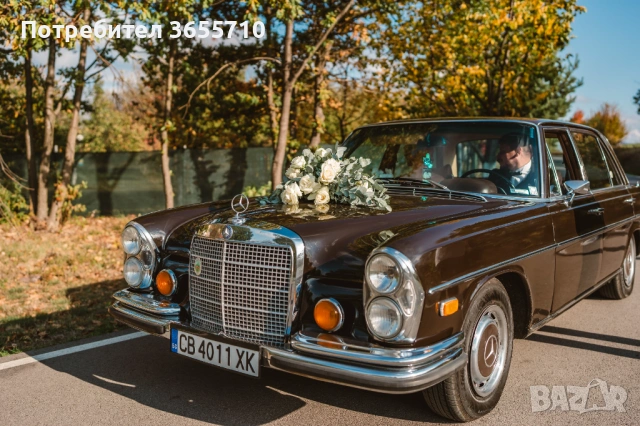 Ретро автомобил поднаем , снимка 2 - Транспорт под наем - 54061572