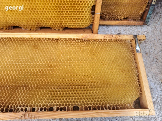 изградени пчелни магазинни пити ДБ и Фарар