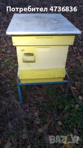 Кошери, снимка 2 - За пчели - 53465781