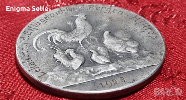 Колекционерски плакет, посветен на местното изложение на птицевъди в Берген-Хилтроп през 1928 г. , снимка 3 - Антикварни и старинни предмети - 53359183