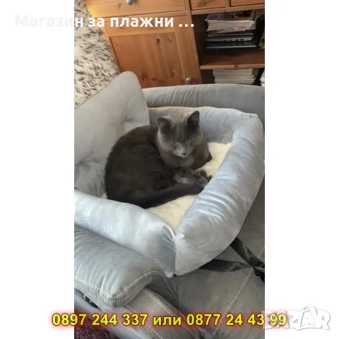 Транспортно легло за кола за домашен любимец - КОД 4336, снимка 4 - Други стоки за животни - 49222478