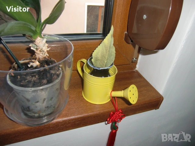 дигитална камера Casio EX-H10  12мРх, снимка 9 - Фотоапарати - 53178045