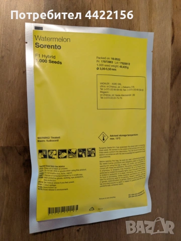 Семена за Диня Syngenta Sorento – 1000 бр. в опаковка, снимка 2 - Сортови семена и луковици - 53965174