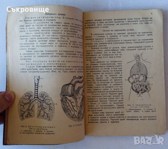 Готов за санитарна отбрана - учебник от 1948 + бонус конспект по местна противовъздушна отбрана, снимка 3 - Специализирана литература - 45382943