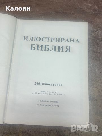 Илюстрована Библия , снимка 4 - Детски книжки - 46552117