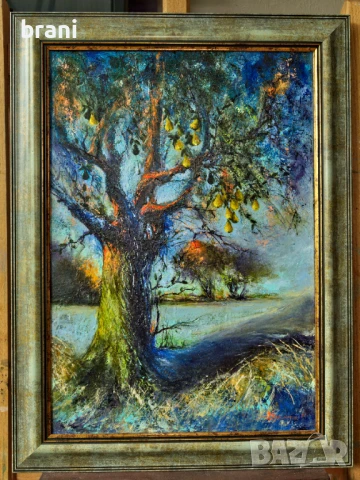 старата круша