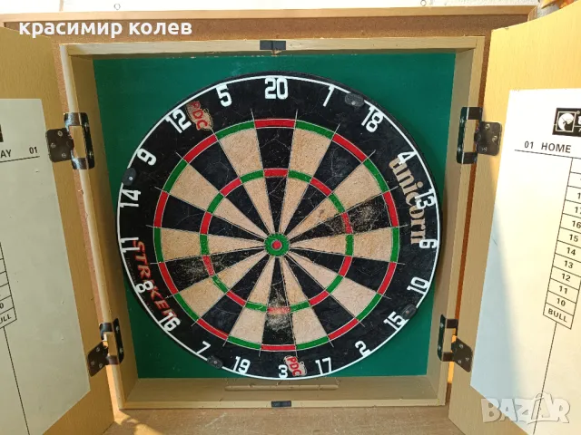 професионален дартс, снимка 1