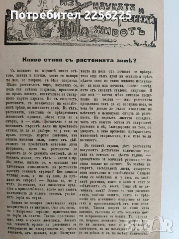 Месечно илюстровано списание Родина 1904г ( 1-10 ) Година шеста, снимка 5 - Специализирана литература - 53042910
