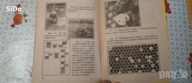 Лот от Пчеларски вестник,списание ПЧЕЛАР,Календарен справ.по Пчеларство и Наръчник на младия пчелар, снимка 14 - Колекции - 50209551