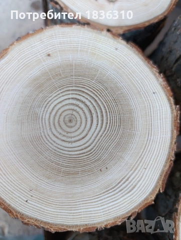 Дървени шайби от бор 