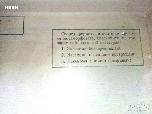 "Превръщане при насекомите/Метаморфоза/" - ДПП-"Детска радост" - София, снимка 6 - Други ценни предмети - 46590963