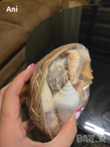 Плетен панер с различни рапани и миди, снимка 3 - Други - 51487735