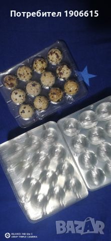 Опаковки за пъдпъдъчи яйца , снимка 2 - Друго търговско оборудване - 46324299