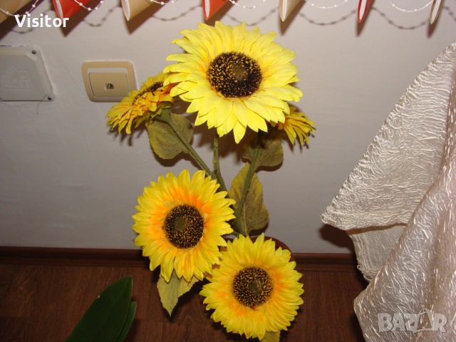 Sony Cyber-shot DSC-H10 , снимка 11 - Фотоапарати - 53456339