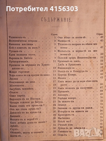 Месечна Зорница. Списание. 1882., снимка 8 - Антикварни и старинни предмети - 53782902