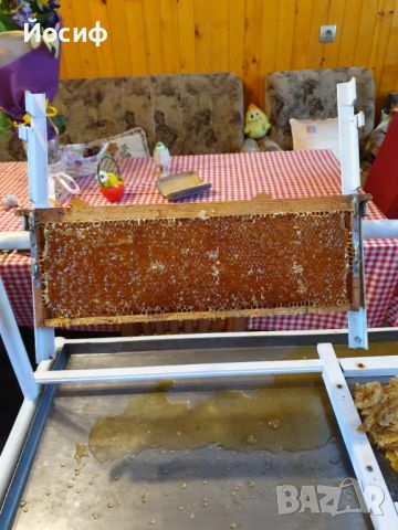 Мед от любител пчелар, снимка 5 - Пчелни продукти - 42693421