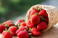 🍓предлагаме елитни расади само эа ценители🍓, снимка 2
