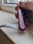 Стар джобен нож,ножче,ножка #47, снимка 6