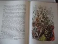 Книга "Дивите лебеди и други приказки - Андерсен" - 68 стр., снимка 11