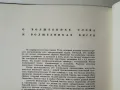 Левша - Н.С. Лесков, снимка 15