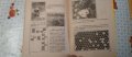 Лот от Пчеларски вестник,списание ПЧЕЛАР,Календарен справ.по Пчеларство и Наръчник на младия пчелар, снимка 14