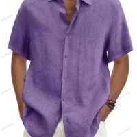 Мъжка ежедневна риза с къс ръкав, 9цвята , снимка 7 - Ризи - 45881572