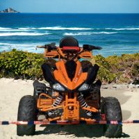 Електрическо ATV MaxMotors Falcon Sport 1500W Orange, снимка 1 - Мотоциклети и мототехника - 45580230