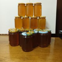 Акациев мед натурален , снимка 4 - Пчелни продукти - 45775721