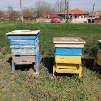 Продавам пчелни кошери , снимка 5 - За пчели - 45053425