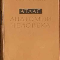 Атлас анатомии человека, Синельников, том 1-3, снимка 2 - Специализирана литература - 45251781
