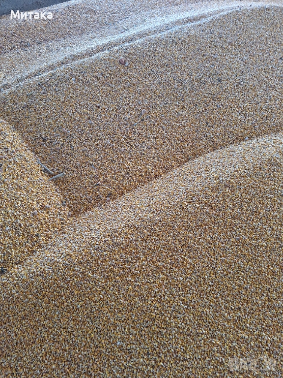 ЦАРЕВИЦА ЗА ФУРАЖ , снимка 1