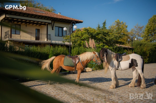 Еко Комплекс Албиция – частна вила Албиция