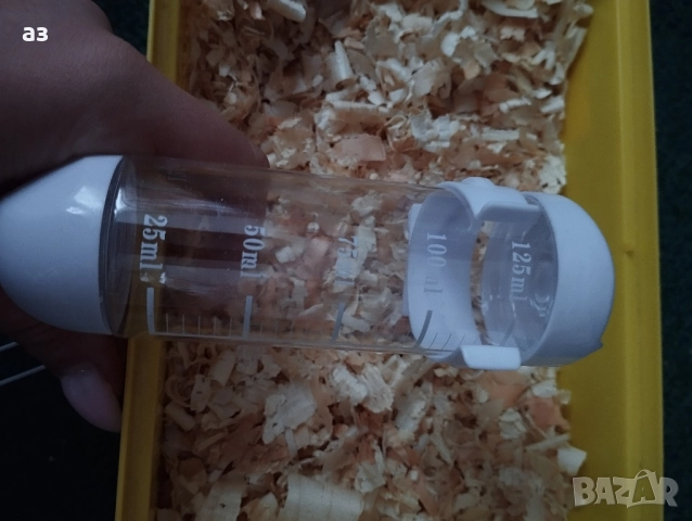 Продавам мъжки хамстер на 4 месеца , снимка 5 - Хамстери - 52533591