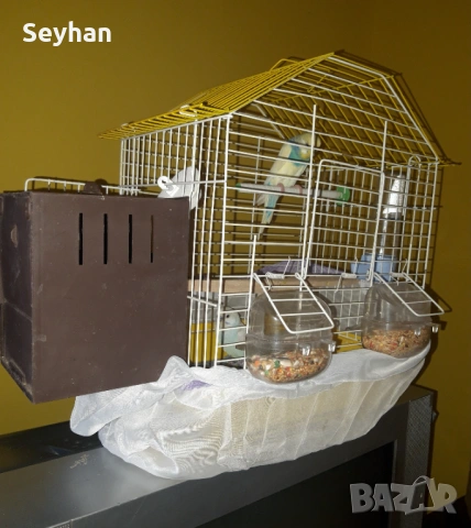 Папагали с кледка, снимка 2 - Кокошки и пуйки - 53615579