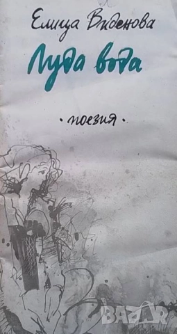 Луда вода Елица Виденова