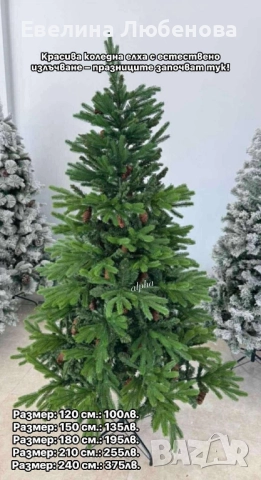 Коледна елха