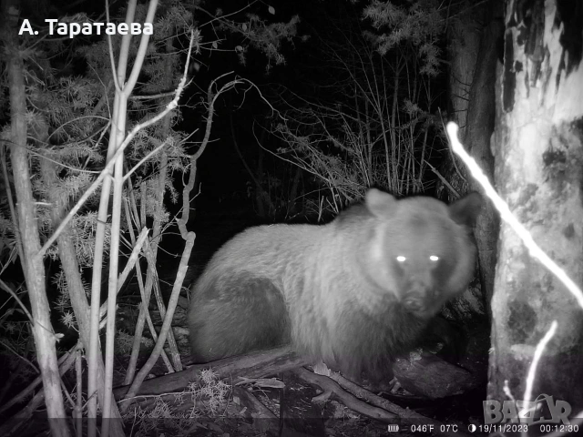 ловни камери, снимка 10 - Екипировка - 53501278